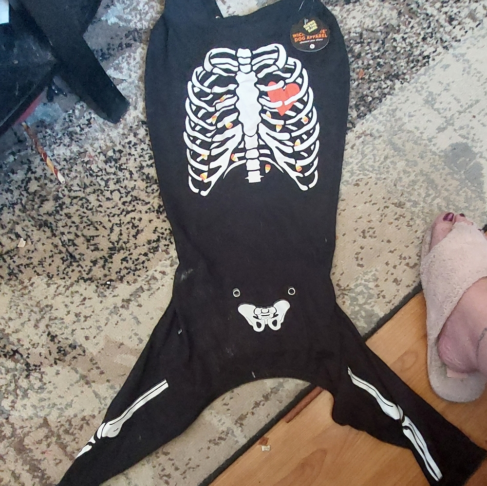 Dog costume